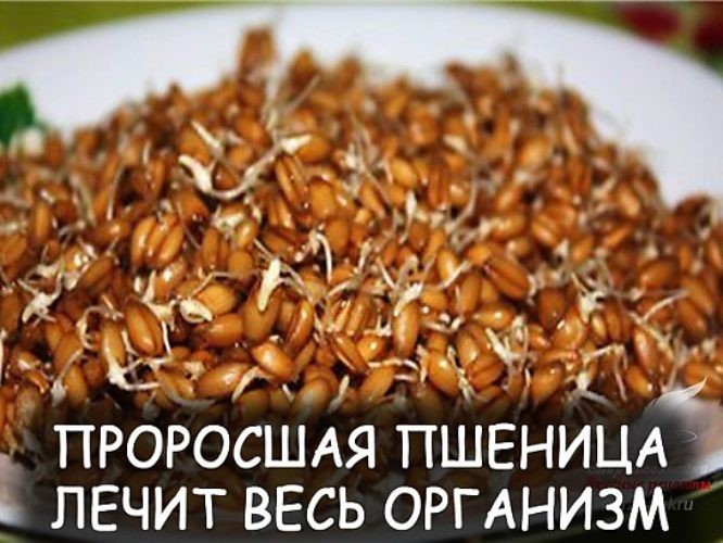 084452ae-48fd-4460-8a3a-bbcc84d991b0_thumb500.jpg
