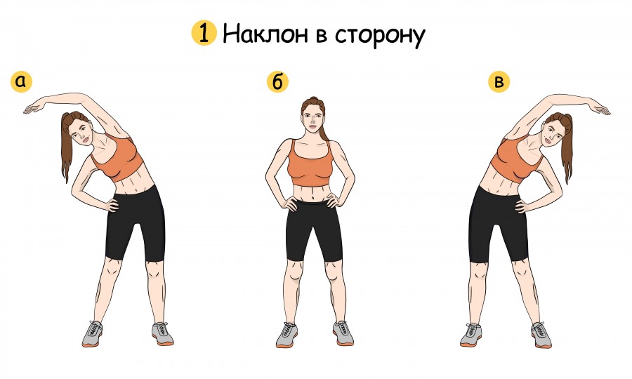 4a78e815-f772-4ead-83b7-723b828055ac_thumb500.jpg