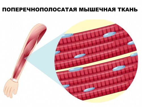 685a0d75-a998-4c72-846b-f918a91d493c_thumb500.jpg