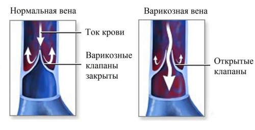 7b9a60dd-a63c-45a7-8f1b-92a992fc16e2_thumb500.jpg