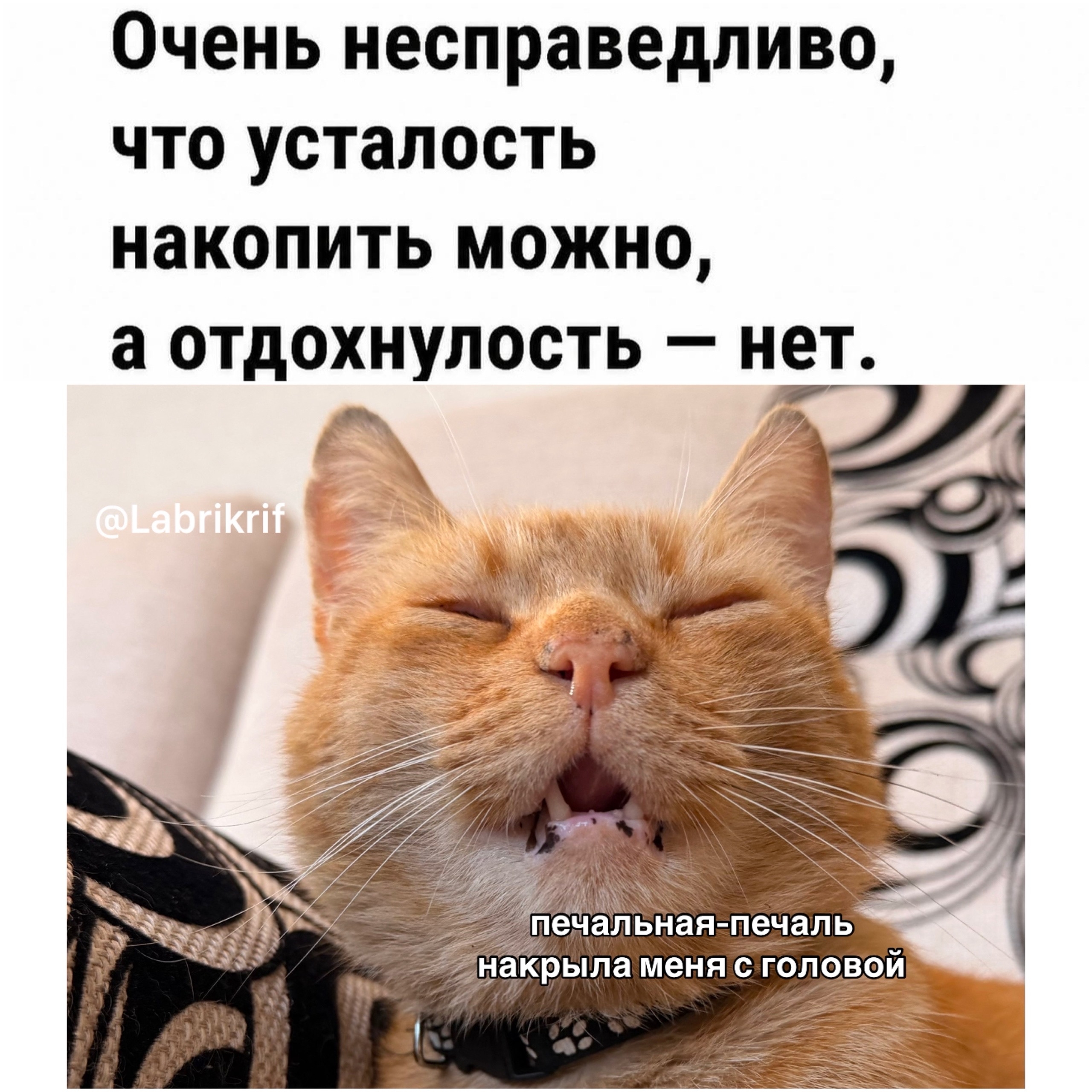 13905ce9-f66b-44e3-9c6f-21d5c94c1c52.jpg
