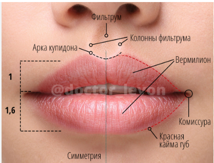 71ef7a31-b977-4e95-8a84-c220a16290ad.png