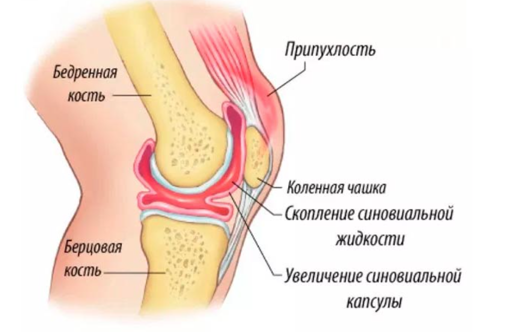 f0dd4969-729c-41a4-bc69-16154cee907a.png