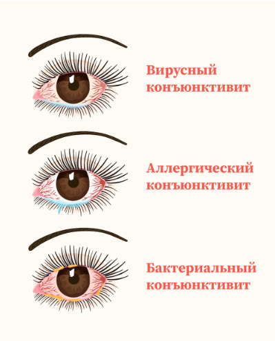 981dbb0b-7618-4a7d-b946-9e6022482342.png