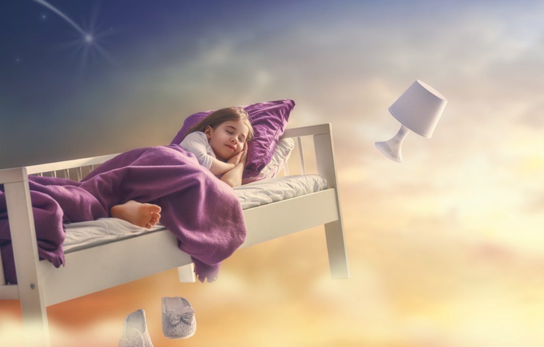 e5d6f187-4858-4170-a105-5b0fe0cbd352.png
