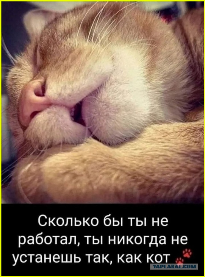 0bc45a46-e9fe-48e1-91ef-dc4867407cb4.png