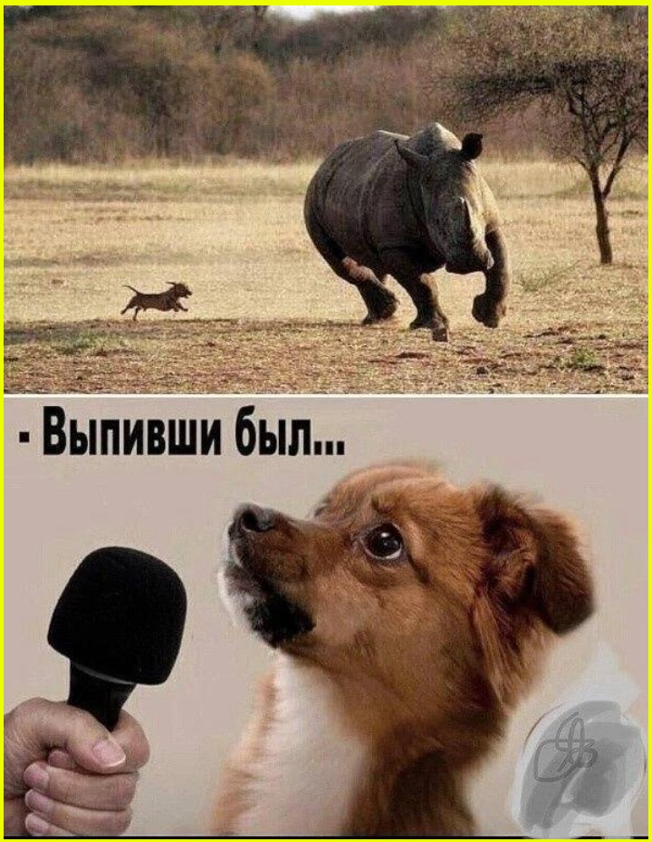 1d4d3a6b-7486-464d-8ecb-01713c2e80f2.png