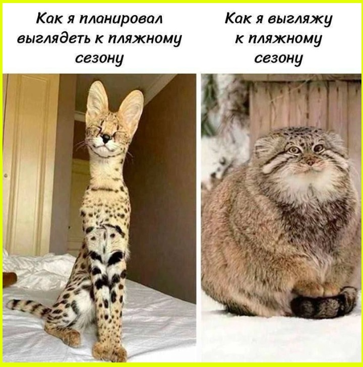 785173e4-88b1-47bf-b89c-dc3f16077e08.png