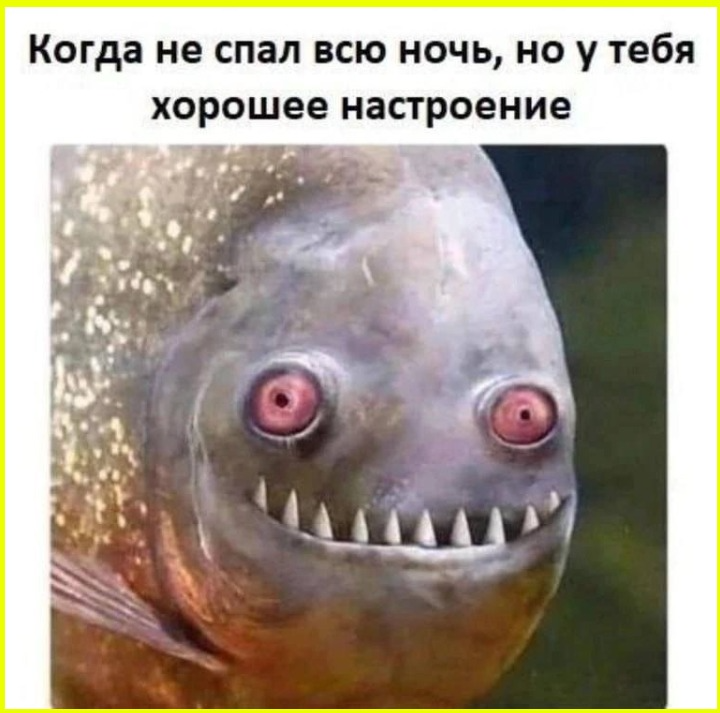 b62903a5-ef75-4137-ad3d-6c8c5b57f0f7.png