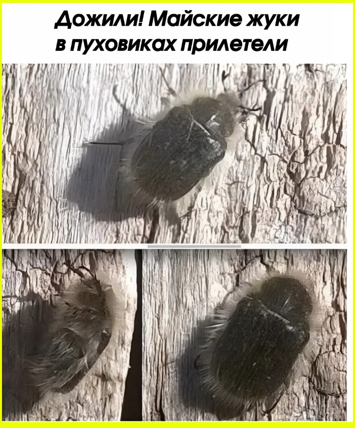 d73071ac-c893-4e3f-b61f-564b5a964b51.png
