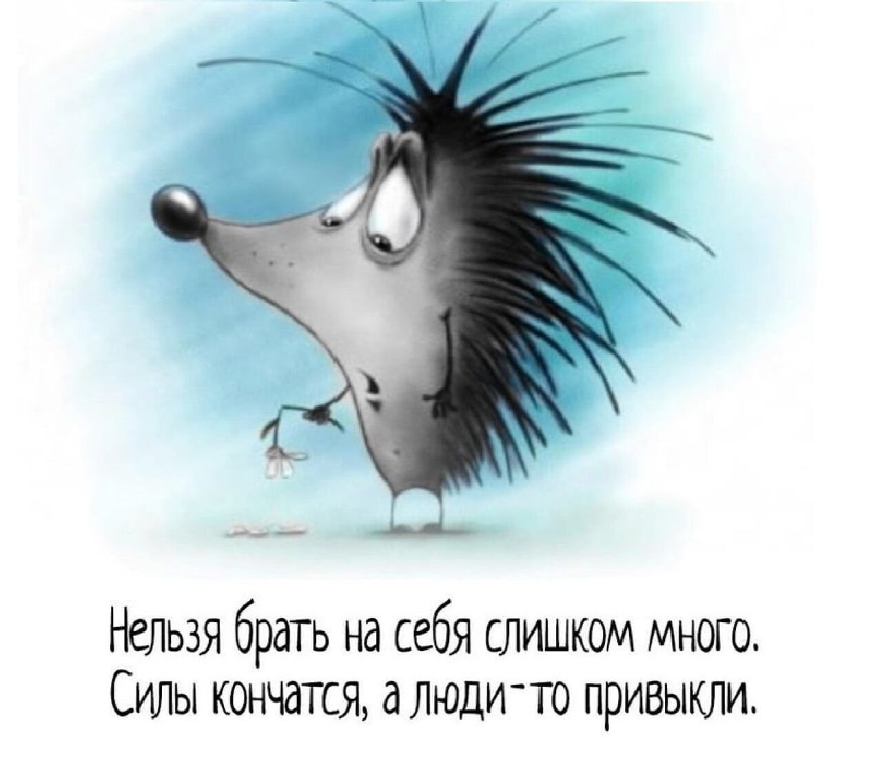 e45fd5a7-7b67-4fc0-8879-34fc266d92d2.jpg