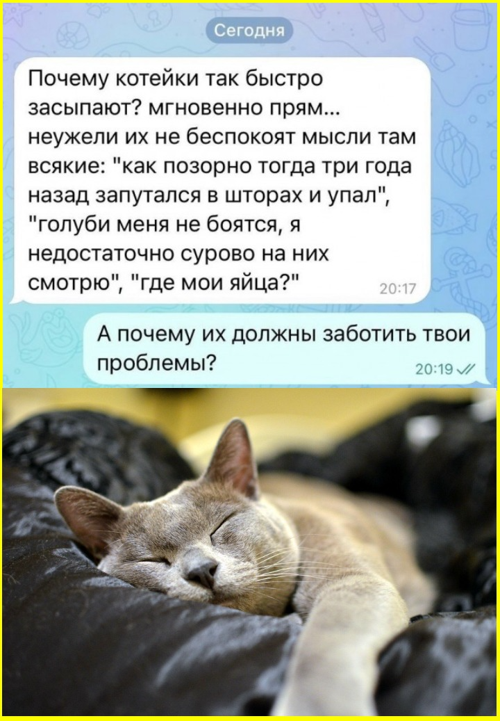 03adeeda-cca7-47c0-a136-d7504c318c74.png