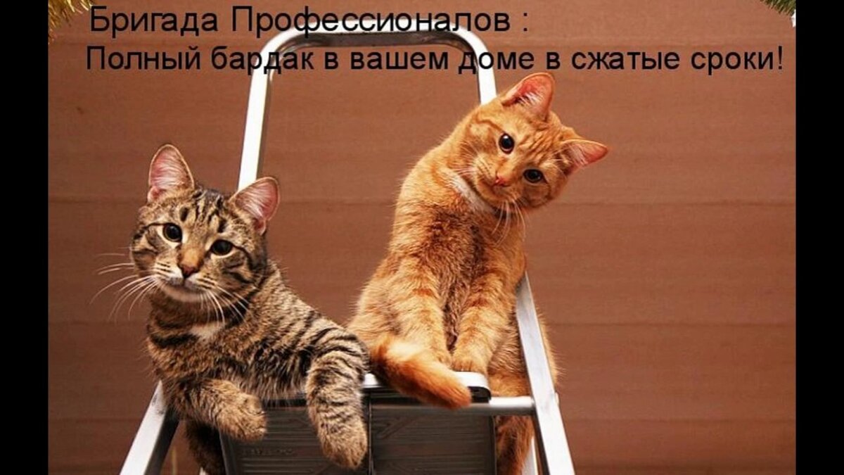 10b28274-4423-4b30-853d-b1a012128835.jpg