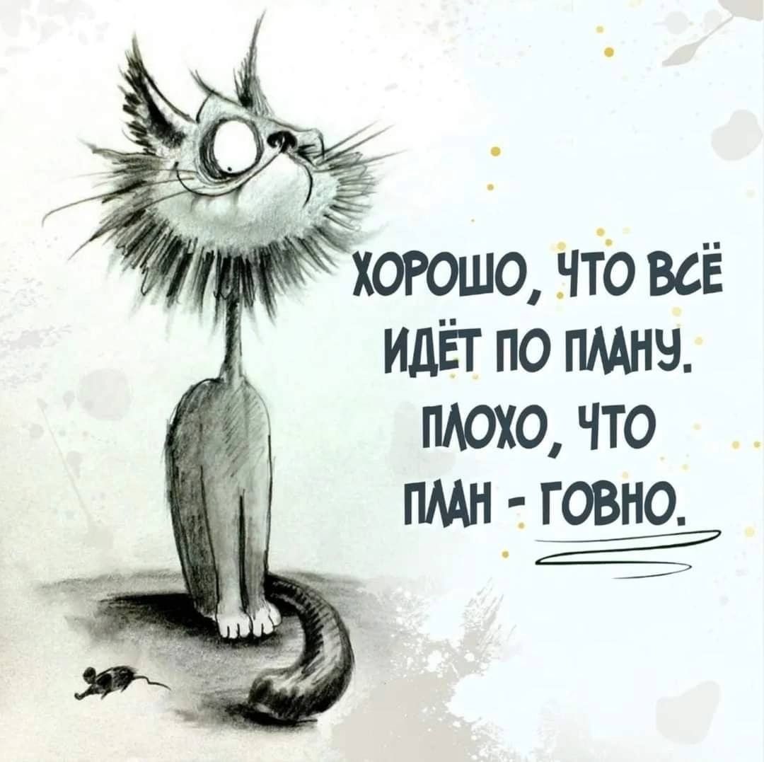17493c51-ae19-4cf9-bcc9-b0116c024377.jpg