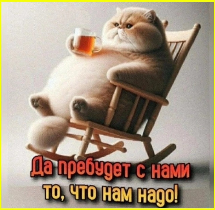e931ce9e-f3d1-4233-bbe9-079272b9643b.png