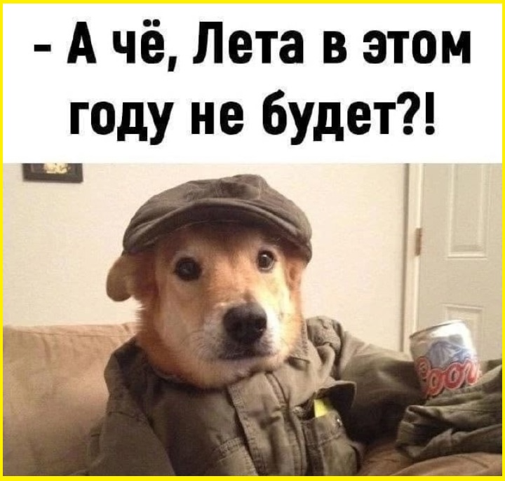 ae781bd6-565c-4f17-9664-b582aa5b5e54.png