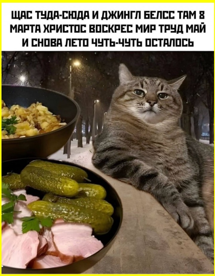 4005dbdd-108d-4f85-9283-032671079d9a.png