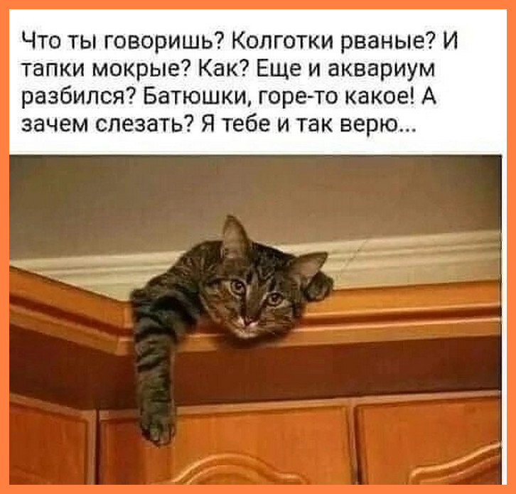 b7ce5d26-758f-4f93-94d7-dd3e0e086471.jpg
