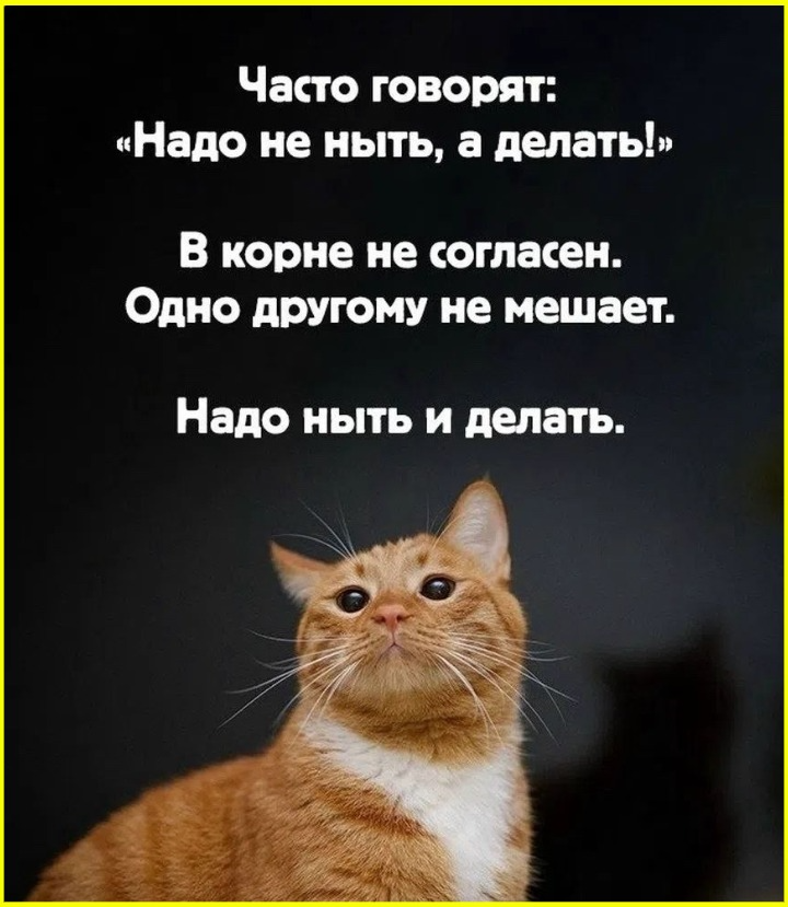 835159e7-5613-48e9-8b21-5bf1c85d46b3.png