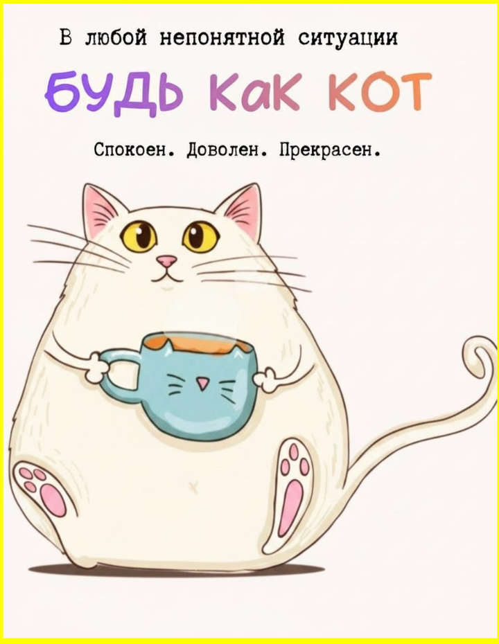69b7801a-b00a-4b39-b5f4-8390142716cb.png