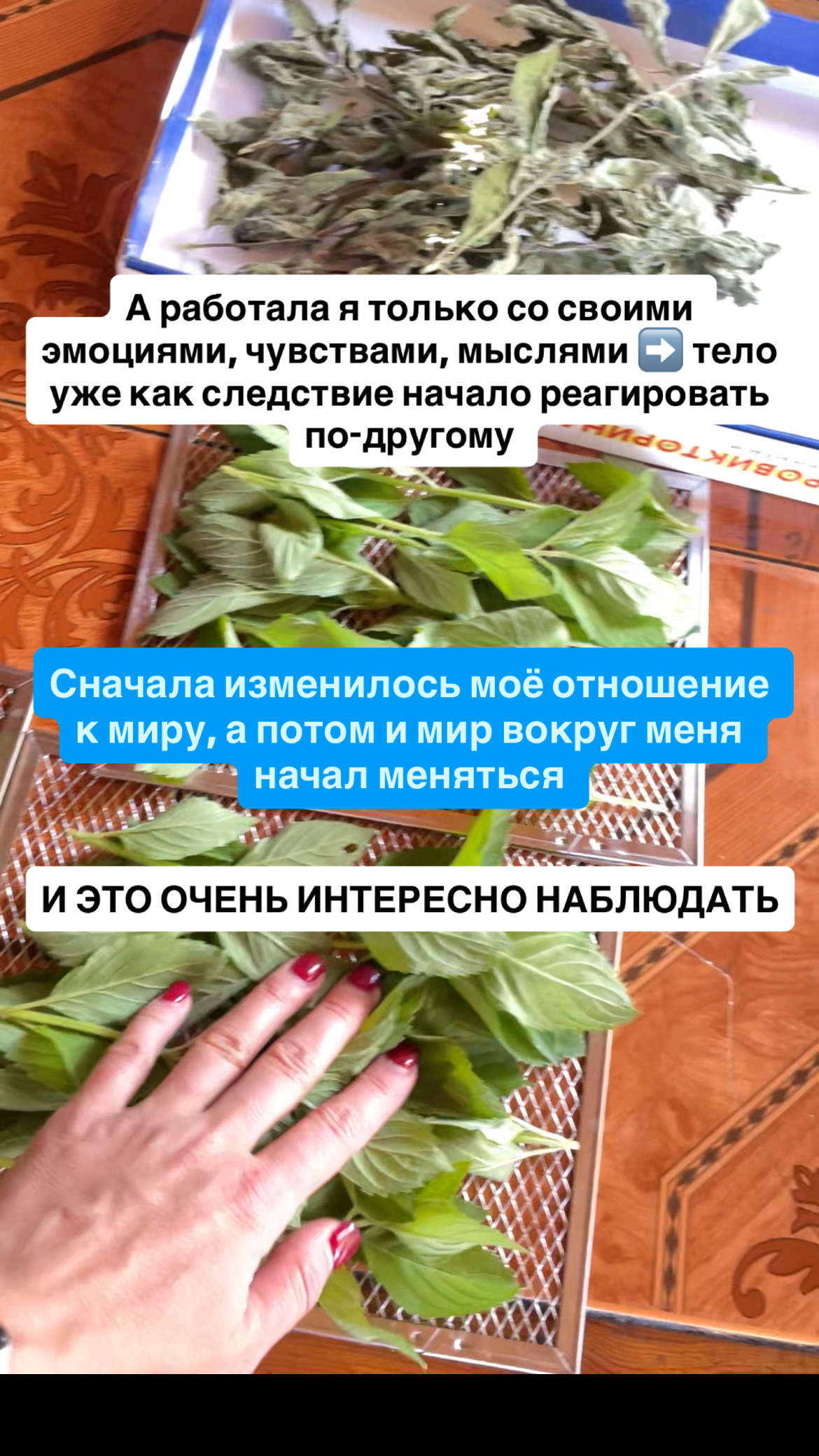 d2b77f1f-5dd8-41ef-9f7a-9316fd4ec8b7.jpeg