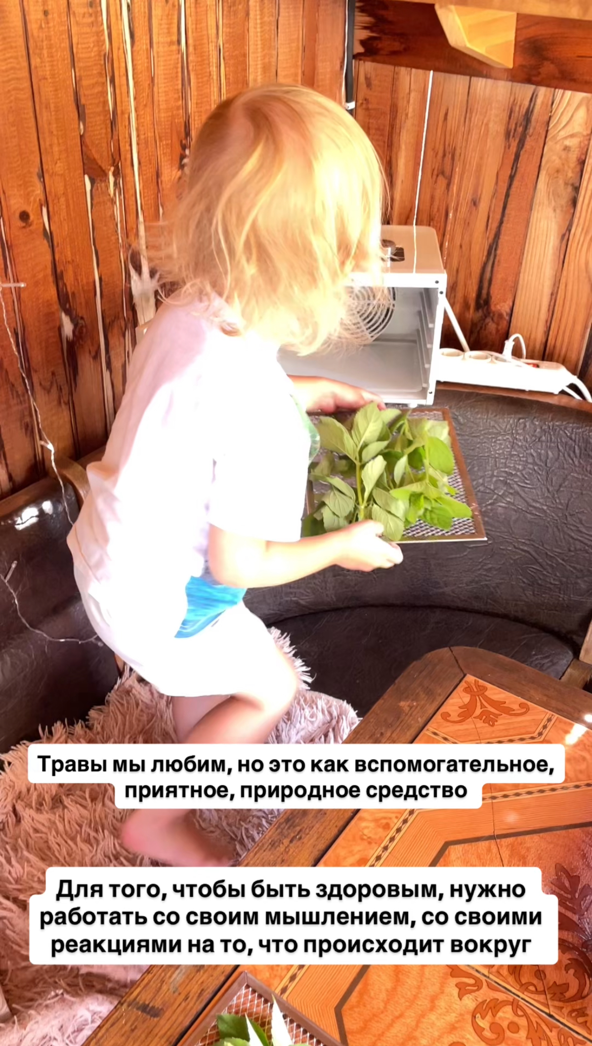 ee6a5f9a-0742-4e90-b0b8-9424eb72ef16.jpeg