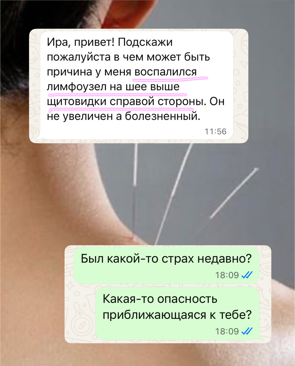 5473bde6-7f64-4e60-857f-163b39ccb80c.jpeg