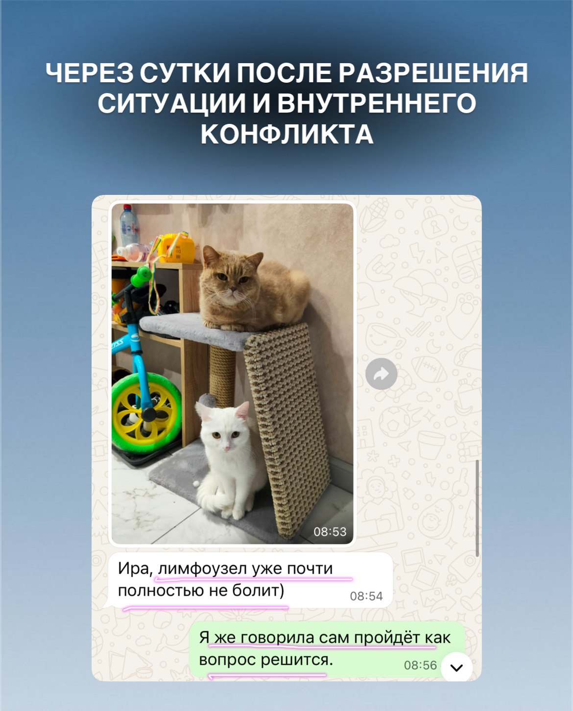 ea8be48a-c003-47e2-9598-853dcb0de16f.jpeg