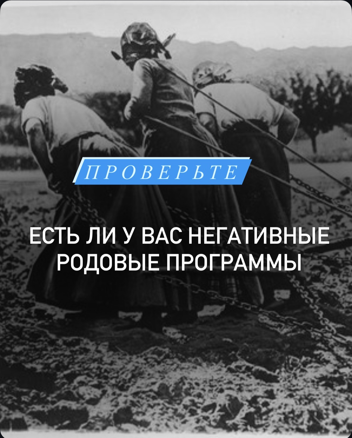 ac25cc8b-1783-4e31-88ad-5f3f236f5478.jpeg
